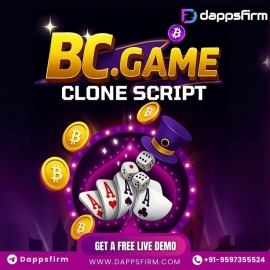 Upgrade Your Gaming Venture Using Advanced BC.Game Clone Software