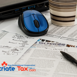 Simple and Reliable Tax Solutions for Expats in Canada