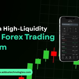 Develop a High-Liquidity Crypto Forex Trading Platform 