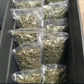 Top quality Mary Jane 420 stuff