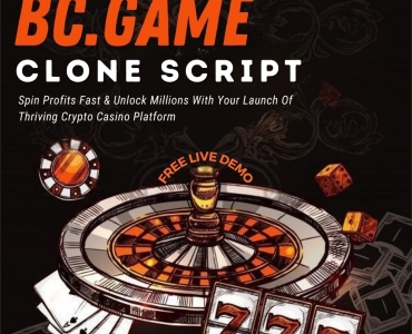 Launch Your Casino Brand Fast with Our Ready-Made BC Game Clone