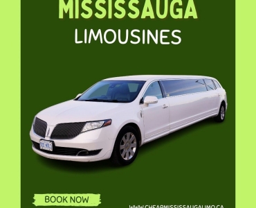 Mississauga Party Bus