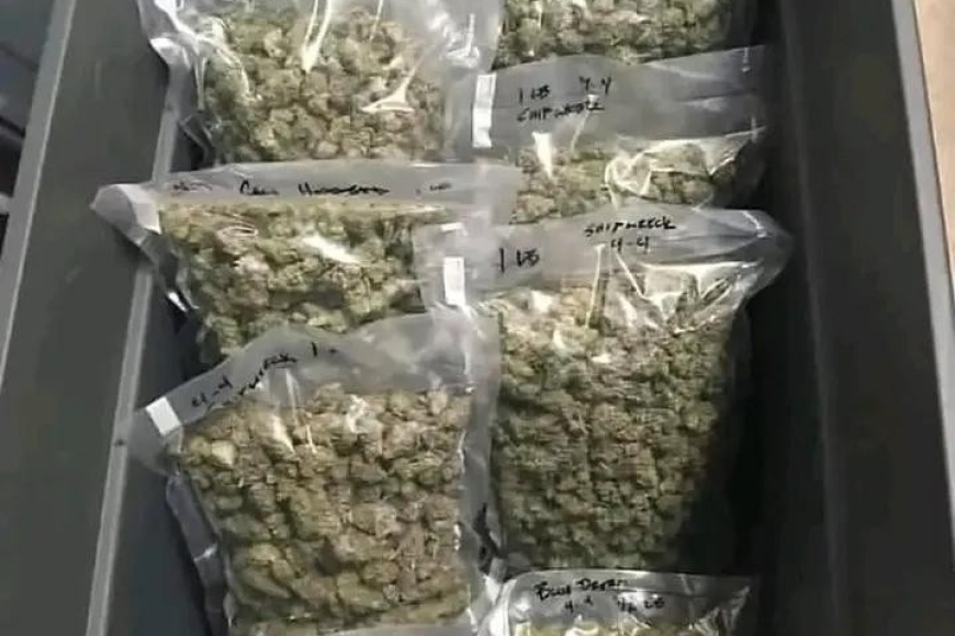 IMG_20260403_070025_060